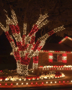 Elegant Christmas Tree Decorations in Nigeria